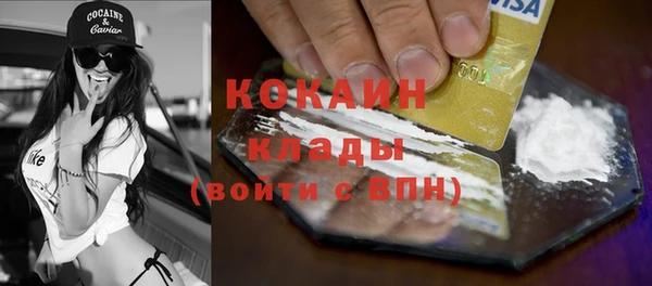 крисы Алзамай