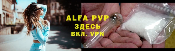 крисы Алзамай