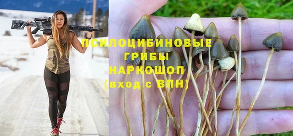 крисы Алзамай