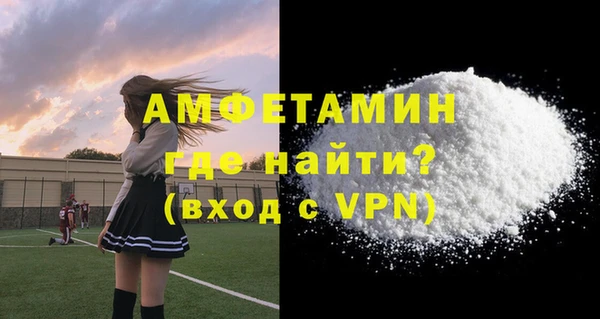 крисы Алзамай