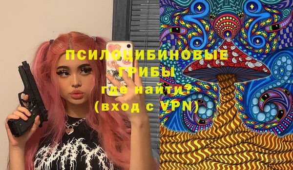 крисы Алзамай